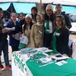 Asesoramiento Merc 1- 6